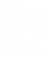Wine making: Starting with hand-selected albariño grapes from our San Vicente vineyard, we obtained the free-run juice, which, after its fining process via static decanting, fermented with local yeast under controlled temperature.
Once reached the desired level of residual sugars, we proceeded to devatting and turn off.
